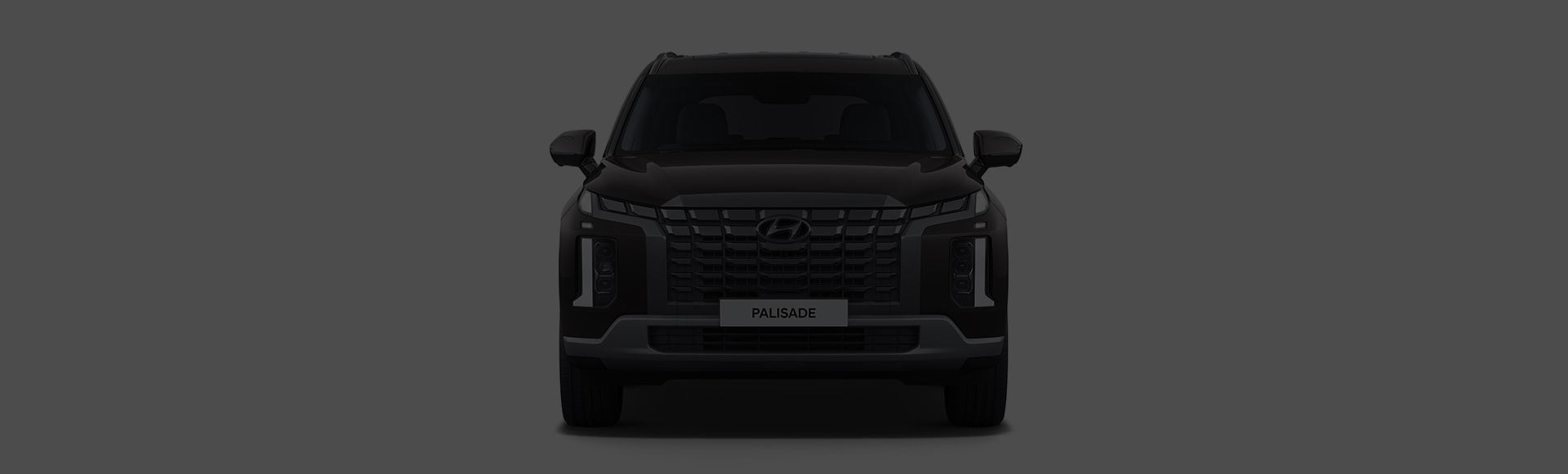 Palisade