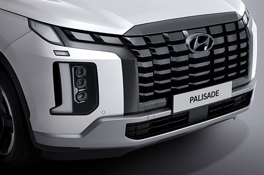 Palisade
